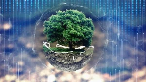 environmentally friendly IT